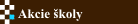 Akcie koly